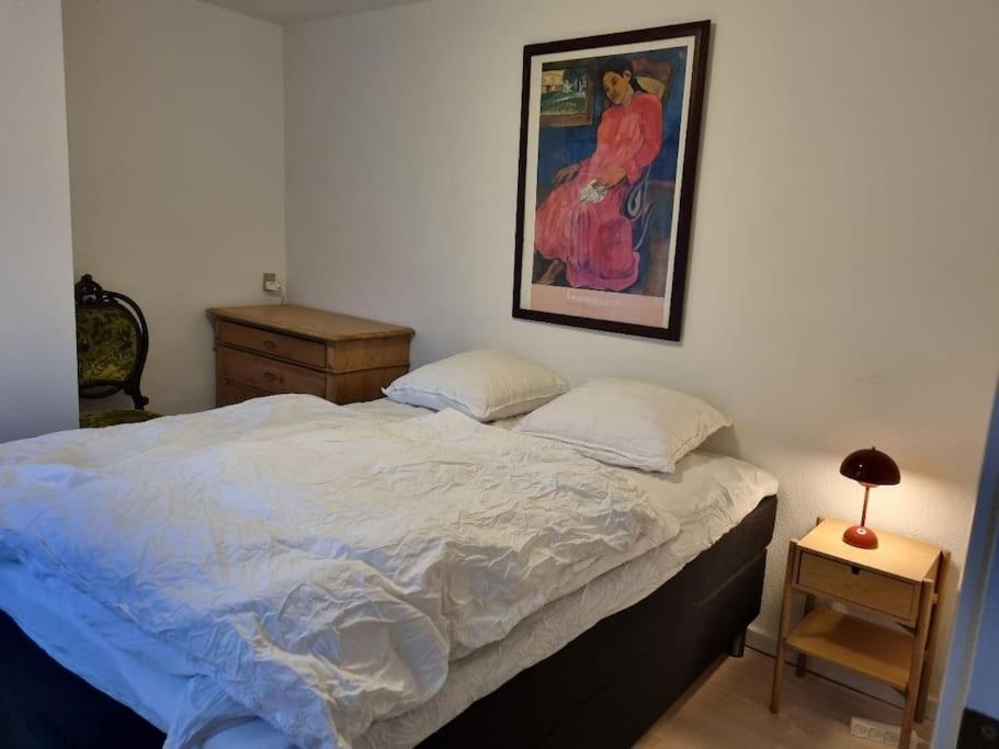 Paen Central Lejlighed Med Gratis Parkering Randers Exterior photo